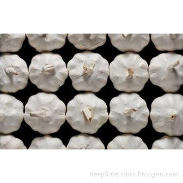 4.5cm - 5.0cm Spicy Fresh Normal White Garlic , No Black Mo